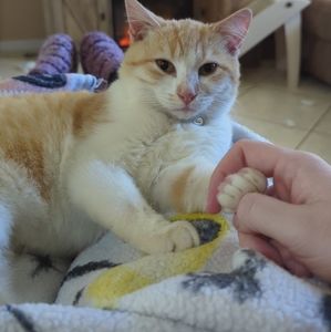 Meet your Posher, Hailey